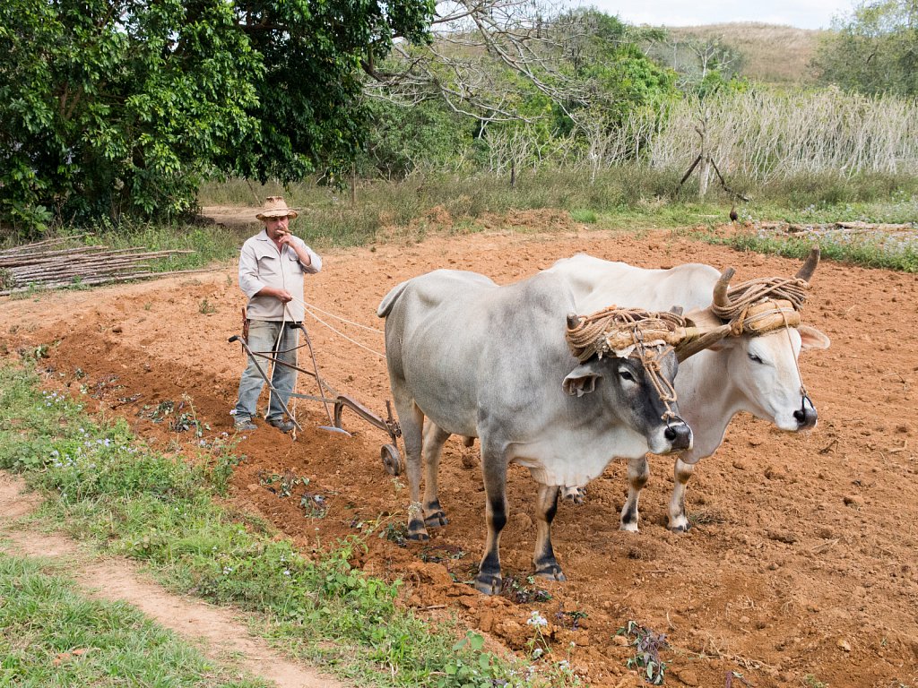 Cuba-88.jpg