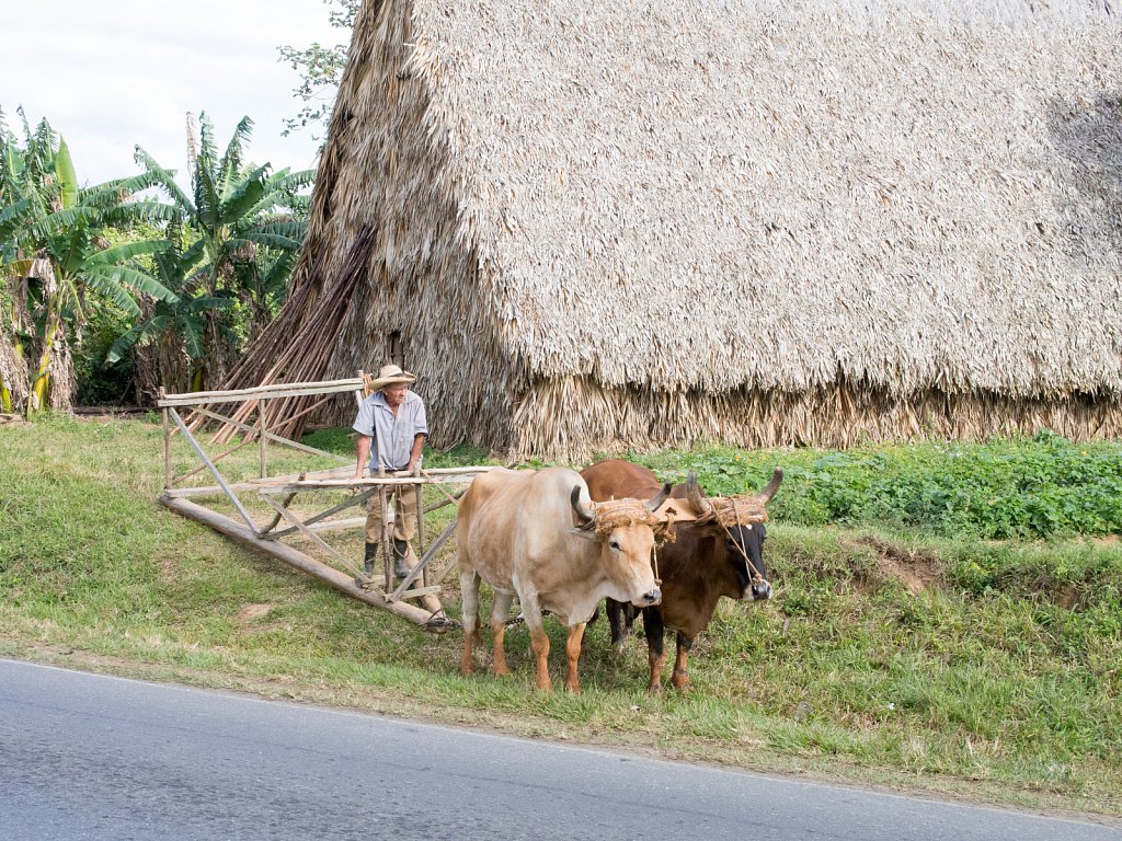 Cuba-89.jpg